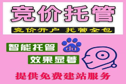 竞价SEM托管案例：精准营销的利器